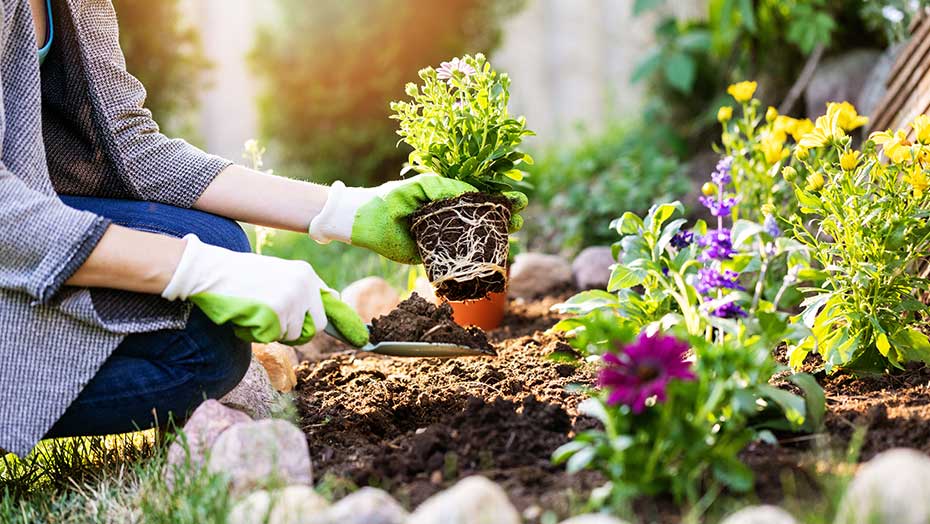 Consejos para los guerreros del jardín image